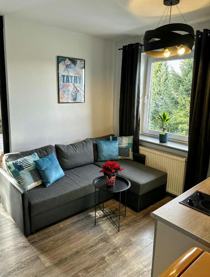 Swarny Zakatek Apartment Zakopane Exterior foto